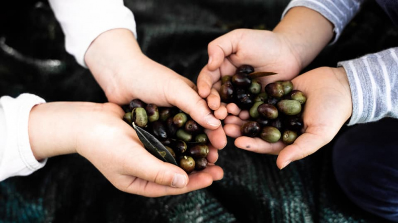 Slow Food na djelu: mladi i budućnost prehrambenog sustava u Hrvatskoj