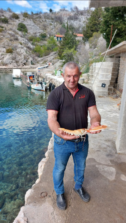 Kod Paškog mosta ulovljen škamp dug čak 43 centimetra što je novi svjetski rekord