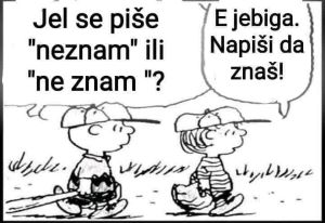 ne znam