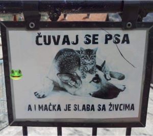 živci