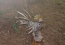 Prvi Art forest otvorio svoja šumska vrata posjetiteljima
