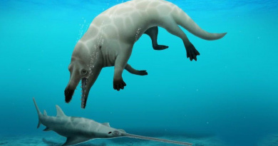 U Egiptu otkriven fosil nove vrste kita s 4 noge i s glavom egipatskog boga mrtvih