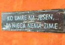 Art is fun: 11.10. – 17.10. - tjedan osude zločinačke organizacije