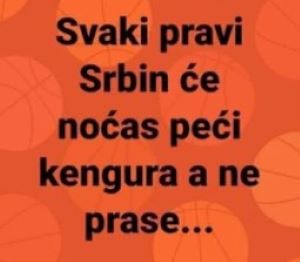 Srbin