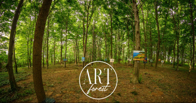 ARTISTO traži programe i umjetnike koji će obogatiti festival Art forest!
