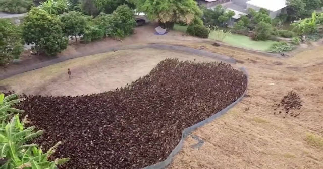 VIDEO: 10.000 pataka pušteno je kroz mala vrata i doslovce je ugodno spojeno s korisnim