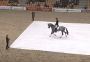 VIDEO: Konj ulazi, ali kada se zavjese dižu, žiri ostaje bez riječi