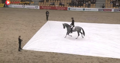 VIDEO: Konj ulazi, ali kada se zavjese dižu, žiri ostaje bez riječi