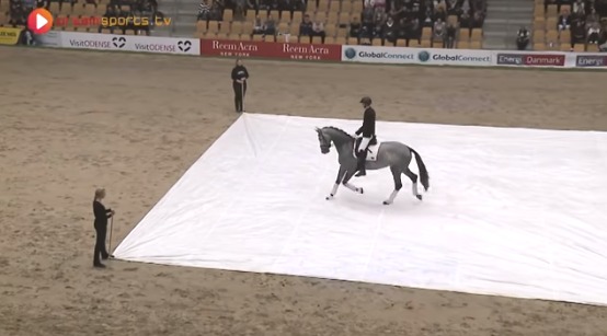 VIDEO: Konj ulazi, ali kada se zavjese dižu, žiri ostaje bez riječi