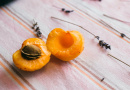 selective focus photo of nuts