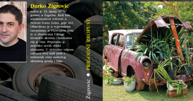 Darko Žigrović: Prigodni propust