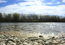 Drova