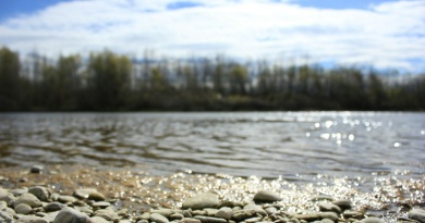 Drova