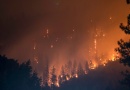 Sezona požara 2025 - 70% manje opožarenog područja u Hrvatskoj nego 2024. godine