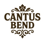 Cantus Bend predstavlja veselu obradu hita “Gori lampa nasrid Vinkovaca” Cantus Bend predstavlja veselu obradu hita “Gori lampa nasrid Vinkovaca”
