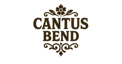 Cantus Bend predstavlja veselu obradu hita “Gori lampa nasrid Vinkovaca”