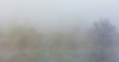 Odgovor Davorina Becka Hermannu Hesseu – U magli Odgovor Davorina Becka Hermannu Hesseu – U magli