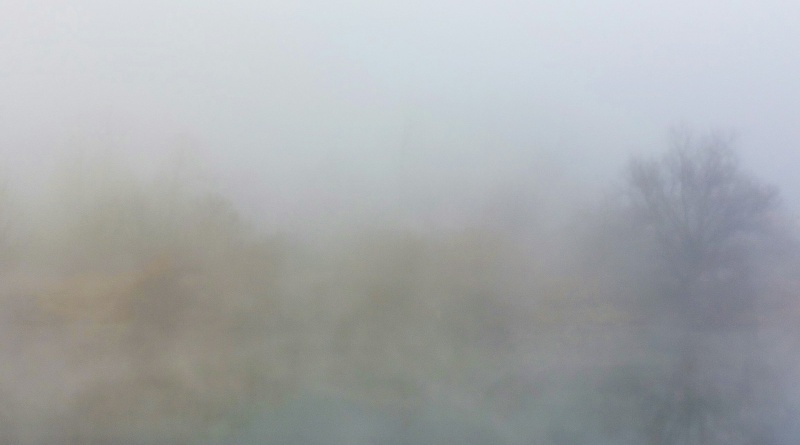 Odgovor Davorina Becka Hermannu Hesseu – U magli