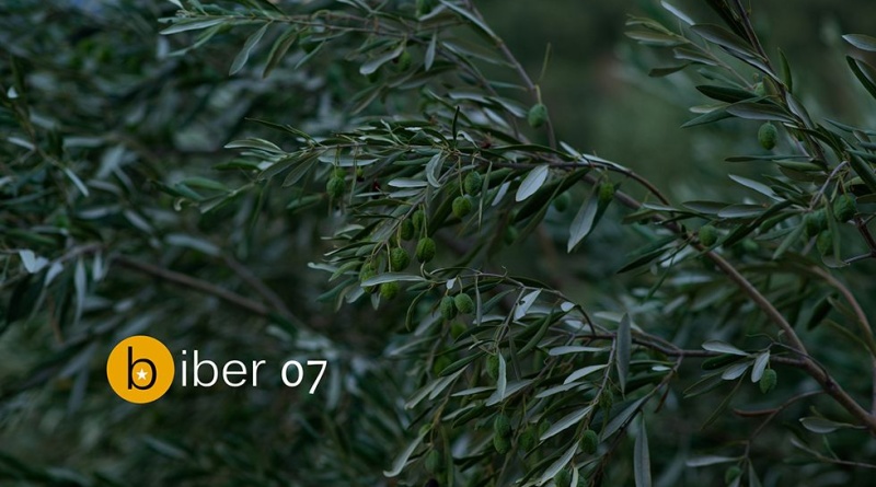 Sedmi natječaj Biber